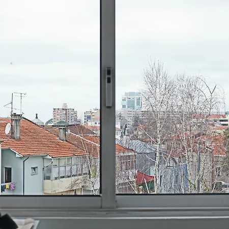 Cedofeita Cozy Iii *